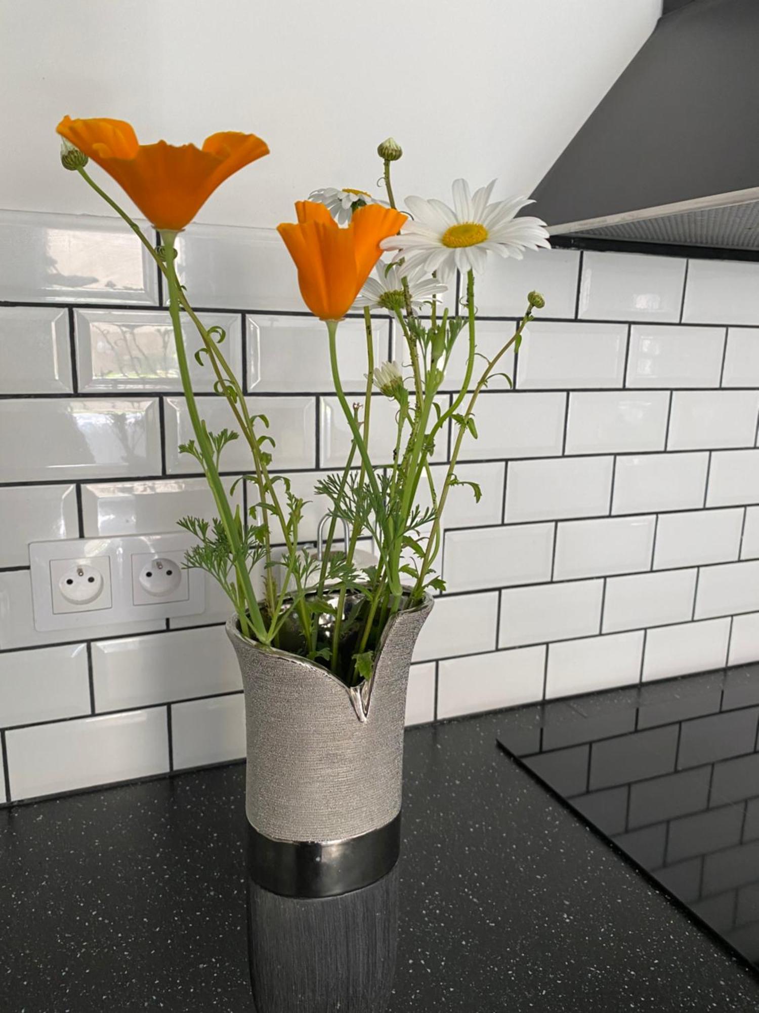 Fleurie Rdc Apartment Saint-Malo