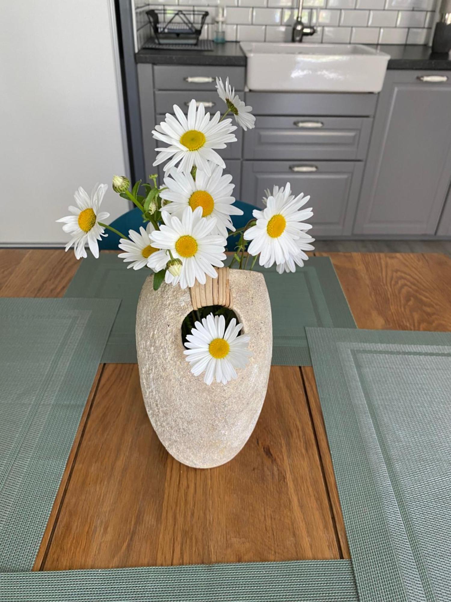Apartment Fleurie Rdc Saint-Malo