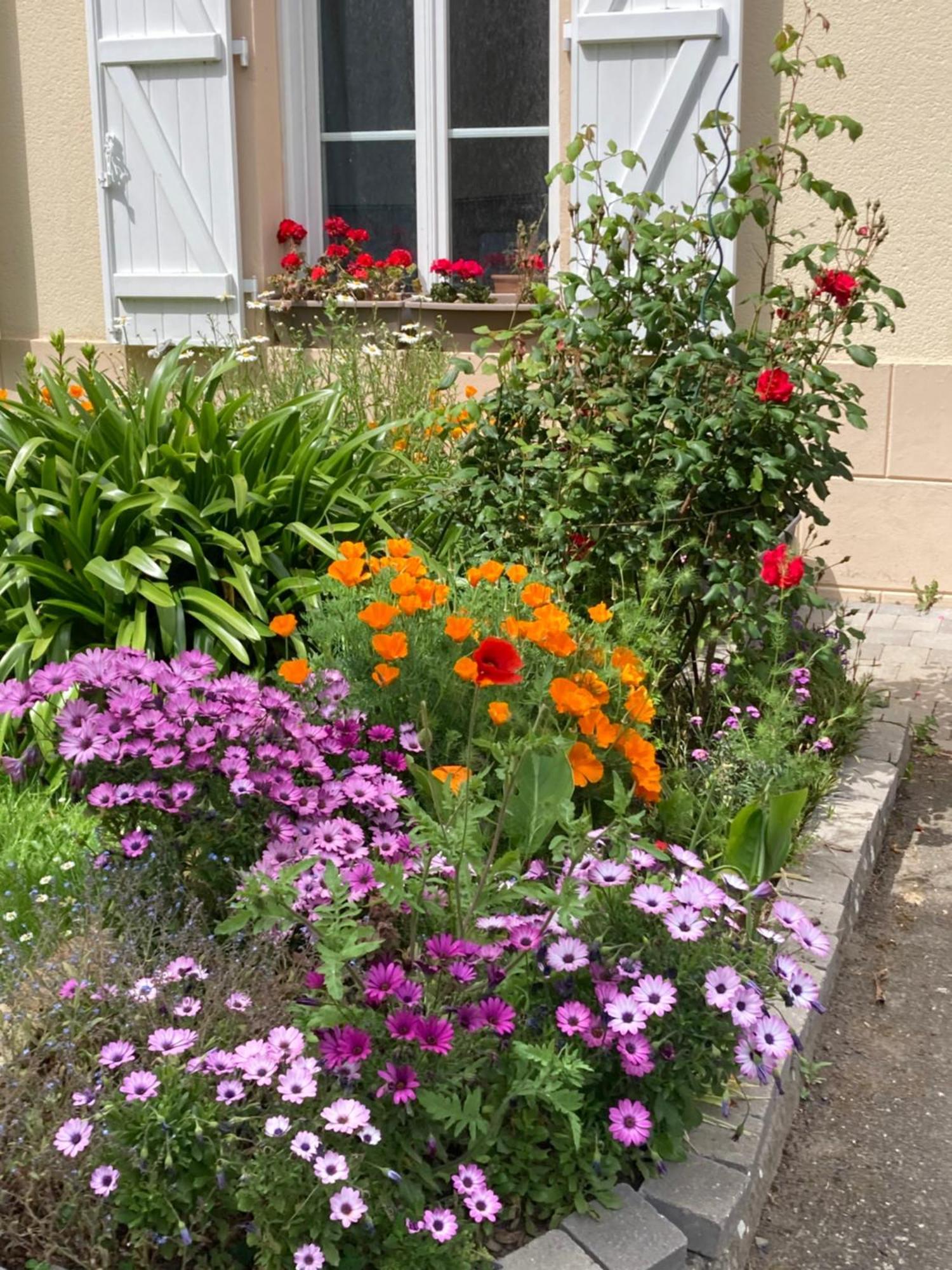 Apartment Fleurie Rdc